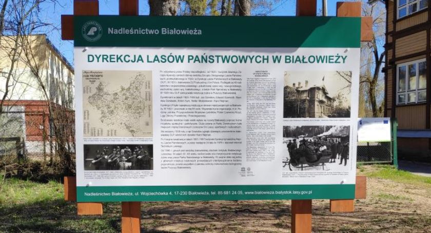Nowa ścieżka w Parku Dyrekcyjnym w Białowieży