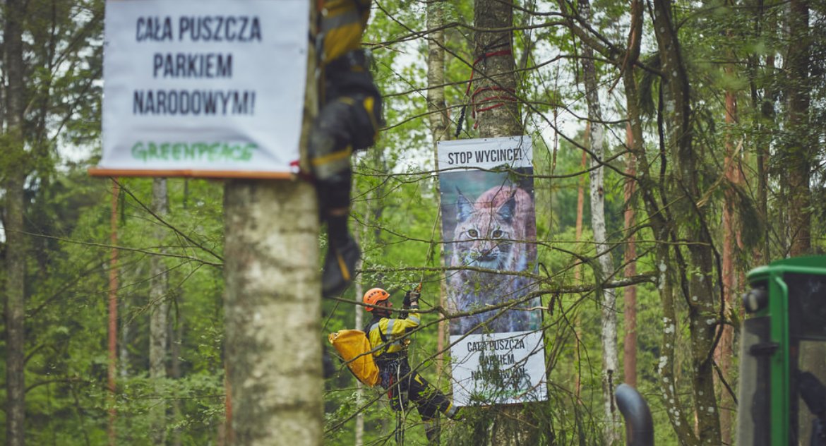 Histeria z powodu otartego naskórka wciąż trwa