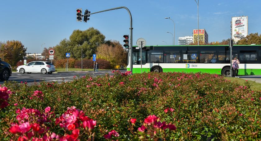 Zmniejszenie liczby kursów autobusów przyniosło mniejsze straty