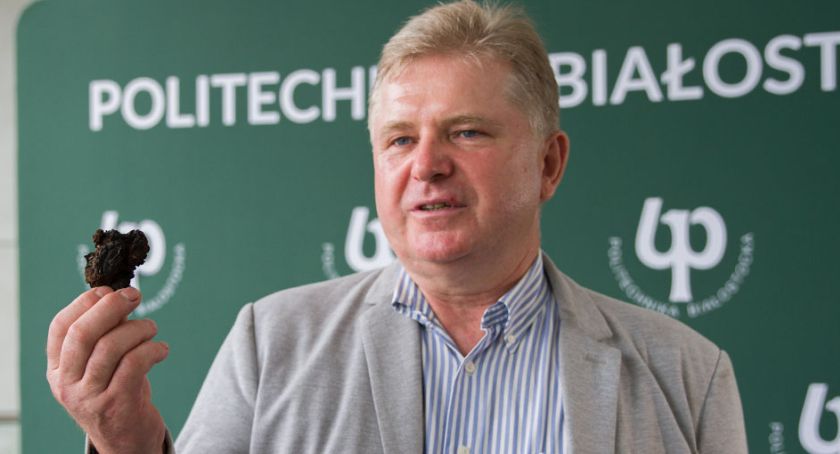 Zgnilec amerykański dziesiątkuje pszczoły. W leczeniu pomaga grzyb z Puszczy Białowieskiej