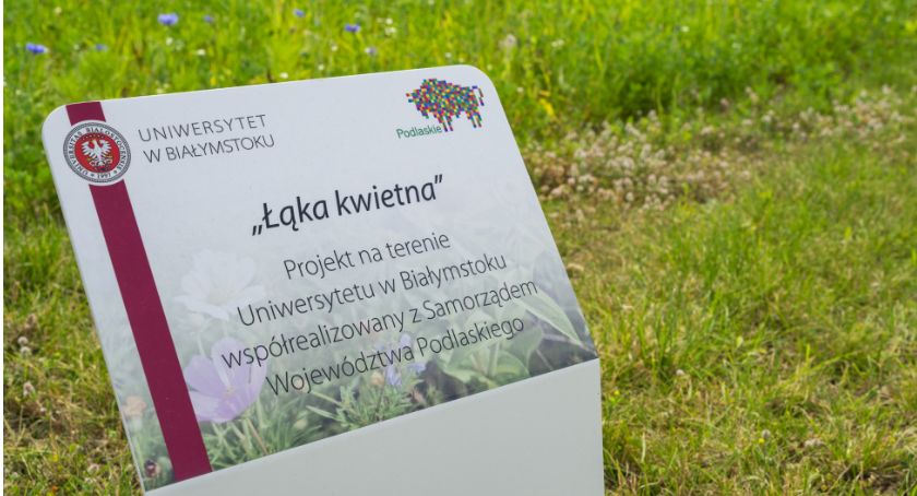 Samorząd województwa pomógł, aby Uniwersytet w Białymstoku miał własne łąki kwietne