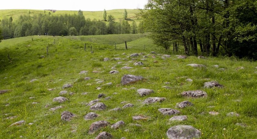 Turyści mogą korzystać z nowych szlaków w rezerwatach na Podlasiu