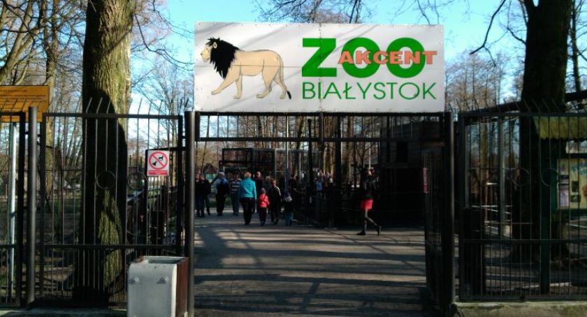 Pod Akcentem ZOO przydałyby się stojaki na rowery? Na pewno!