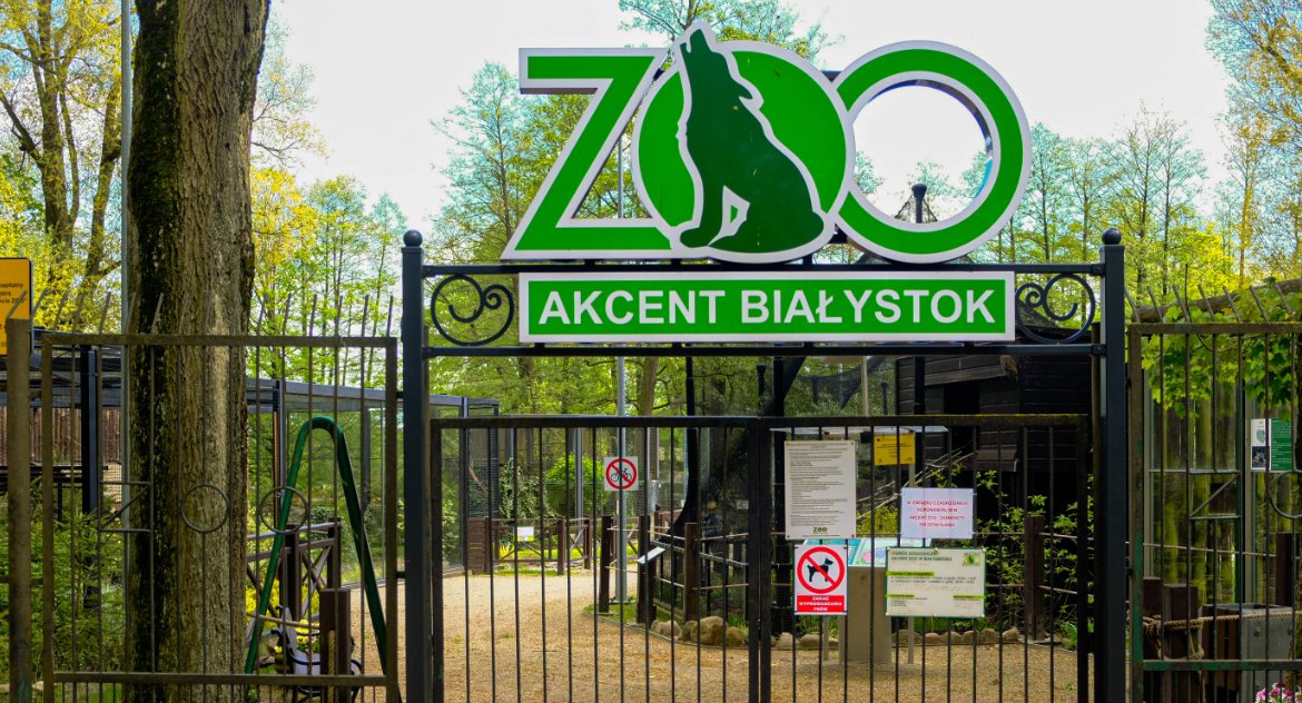 Niech magistrat przestanie się mazać i ustawi te stojaki na rowery