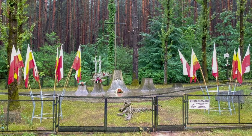 Przed grudniem ma być częściowo uporządkowany Cmentarz w Lesie Bacieczkowskim