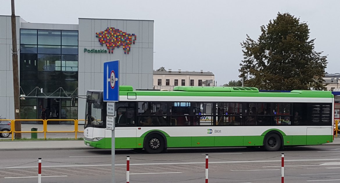 Gdy żubr jest szyszką, to może być mniej kontrowersyjny?