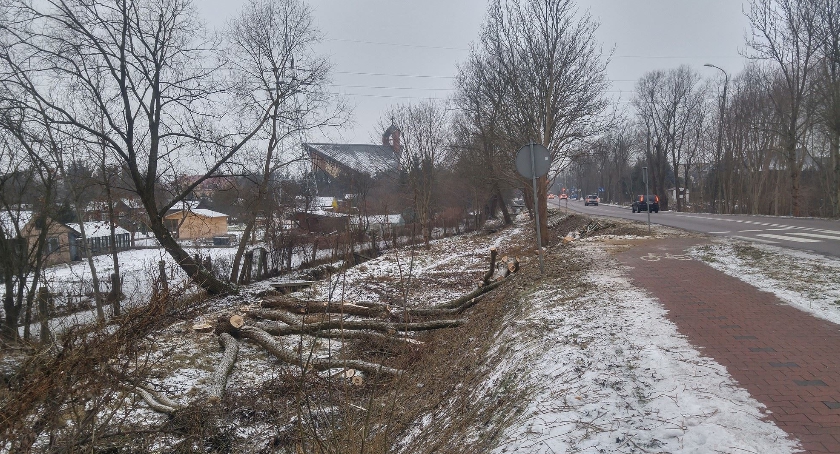 Zielone ofiary przebudowy Ciołkowskiego