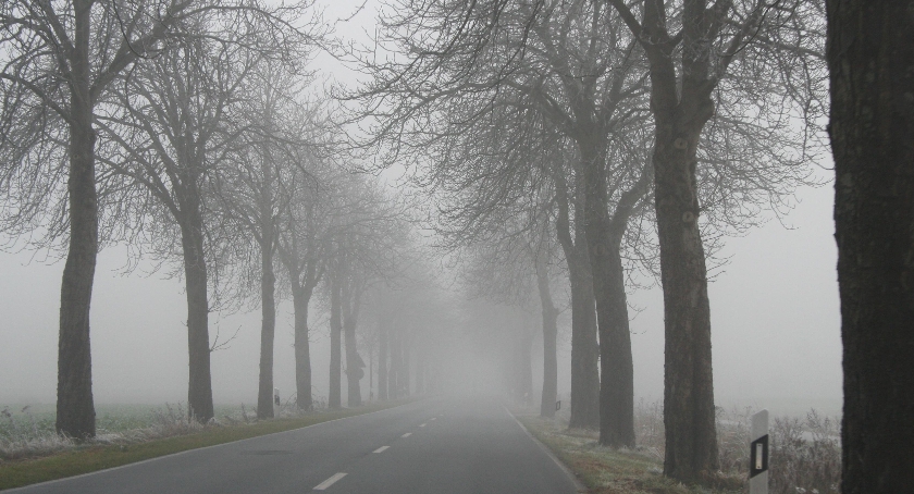 Uwaga na mgłę albo smog