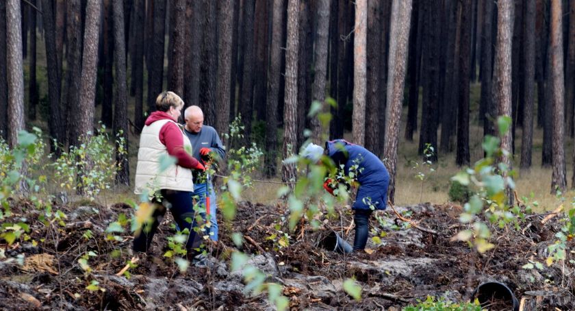 Pocztowcy pomogą leśnikom. Posadzą drzewa