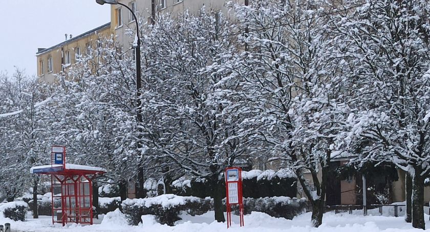 W Polsce szybciej urbanizują się nowe tereny niż przybywa ludności 