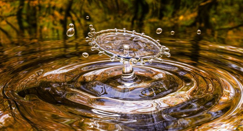 Nasze codzienne wybory mają wpływ na środowisko naturalne