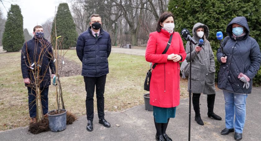 Pierwszego dnia wiosny urzędnicy rozdadzą białostoczanom sadzonki drzew