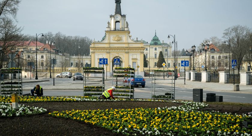 Lada moment Białystok będzie kolorowy od kwiatów