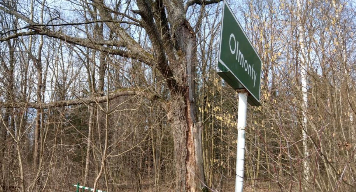 Mieszkańcy nie składają broni w walce o Las Solnicki