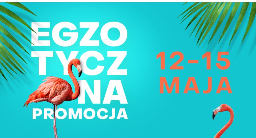 Egzotyczna promocja w Alfa Centrum – zgarnij kartę podarunkową i wakacyjny gadżet