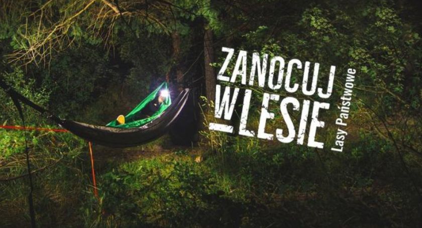 Jest więcej miejsc, w których można zanocować w lesie