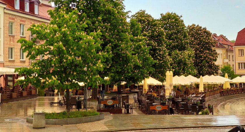Miasto pozwala restauratorom na montaż telewizorów w ogródkach gastronomicznych 