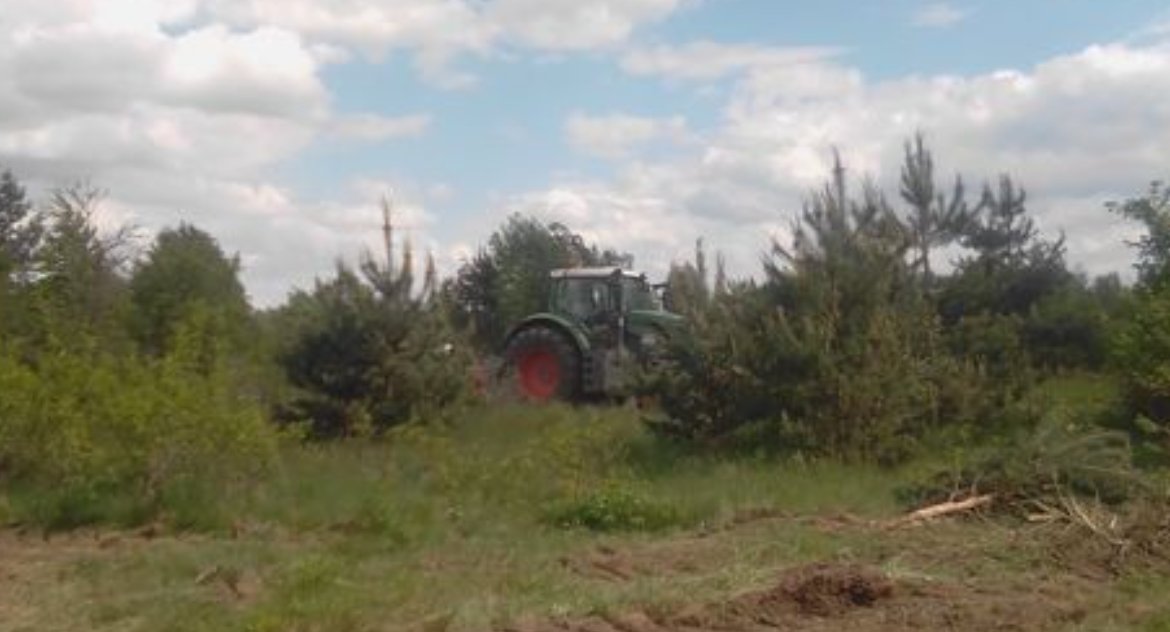 Trwa okres lęgowy ptaków, a tuż pod rezerwatem Las Zwierzyniecki zniknęły drzewa