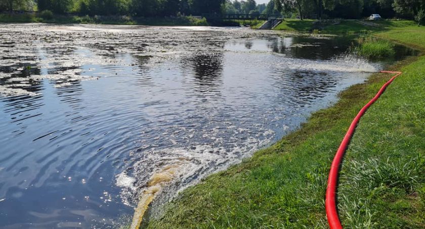 A co jeśli ryby w Supraśli zabiła nie tylko przyducha? WIOŚ wyklucza taką możliwość