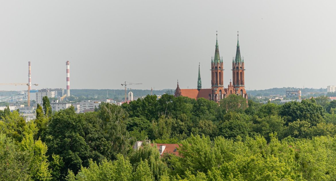 Wieki temu wielkoksiążęca Puszcza Bielska sięgała Białegostoku