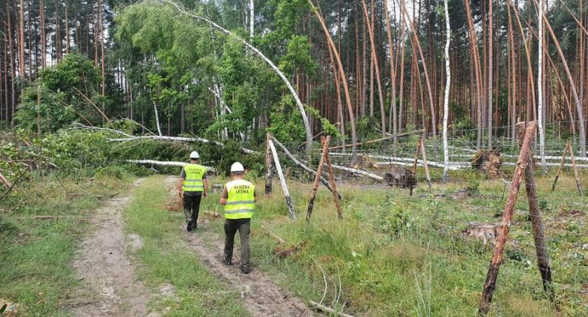 Do części lasów na razie nie można wchodzić. Trwa sprzątanie po nawałnicy