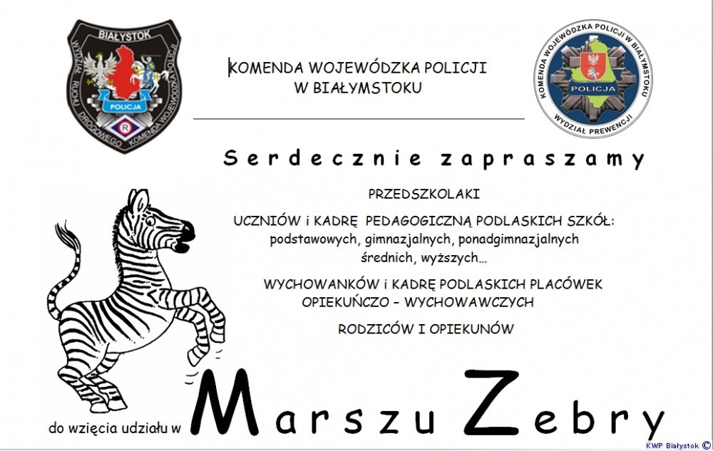 Weź udział w Marszu Zebry!
