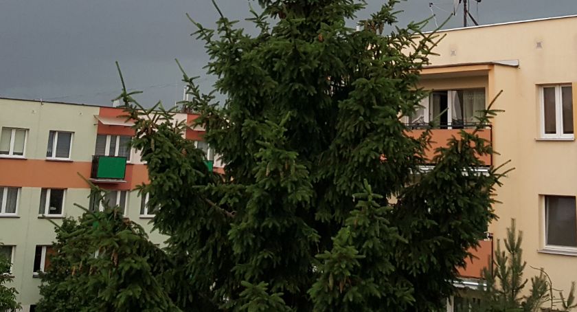 Mieszkań na wynajem jest coraz więcej, ale nie wystarczająco