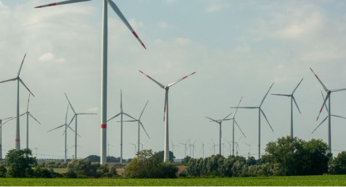 Polacy akceptują wiatraki obok siebie. I chcą zmian, dla klimatu