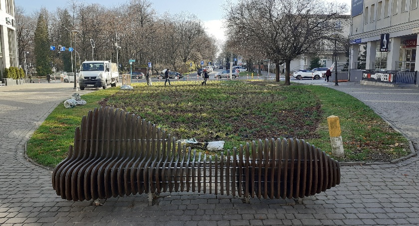 Na wiosnę przy Alei Bluesa pojawi się mnóstwo kolorowych kwiatów