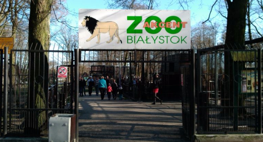 Zimą dokarmiajmy zwierzęta, ale z głową