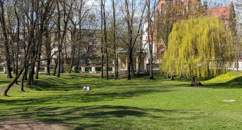 Na nasz intelekt wpływa pozytywnie życie w zieleni. Im bardziej zielono, tym jesteśmy mądrzejsi