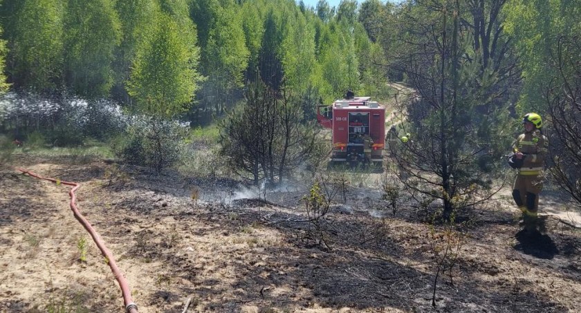 Spłonął ponad hektar młodnika sosnowego. W akcji gaśniczej musiał brać udział samolot
