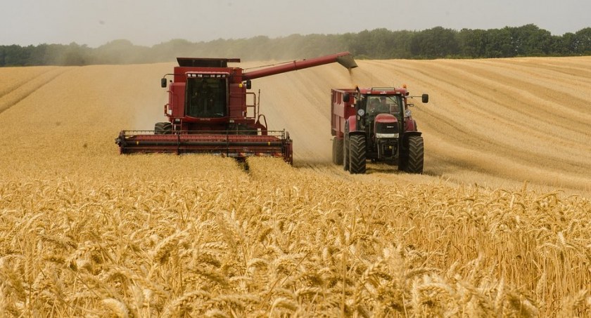 Kończący się sezon zbóż jest delikatnie mówiąc trudny. Wielu zadaje pytania, jaki będzie kolejny sezon