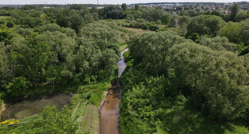 Białystok z Polską Nagrodą Krajobrazową. GDOŚ docenił przebudowę rzeki Białej