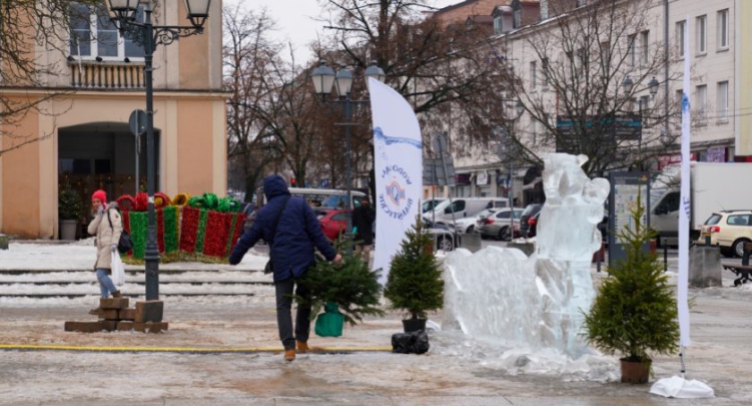 Białostoczanie wymienili sztuczne choinki na żywe drzewka