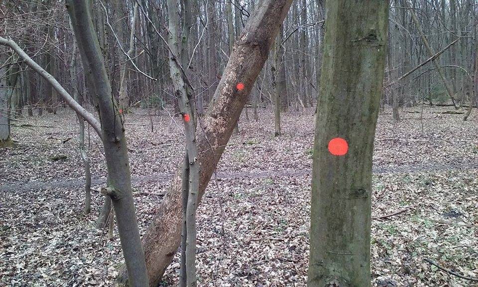 Konsultacje projektów zarządzeń w sprawie podlaskich rezerwatów