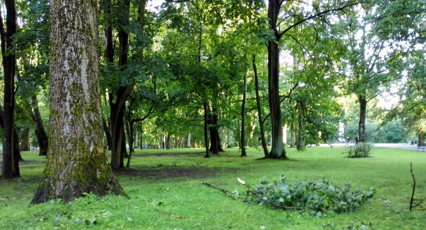 Są ważne powody, dla których warto być przyjaznym wobec przyrody