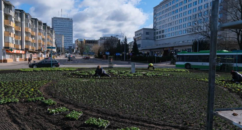 Centrum Białegostoku wkrótce rozkwitnie kwiatami
