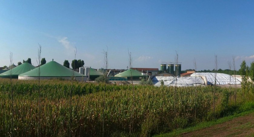 Prawie 6,5 mln złotych na energię odnawialną w województwie podlaskim