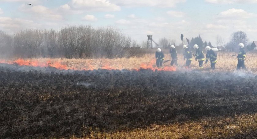 Eksperci są zgodni: Wypalanie traw to barbarzyński proceder
