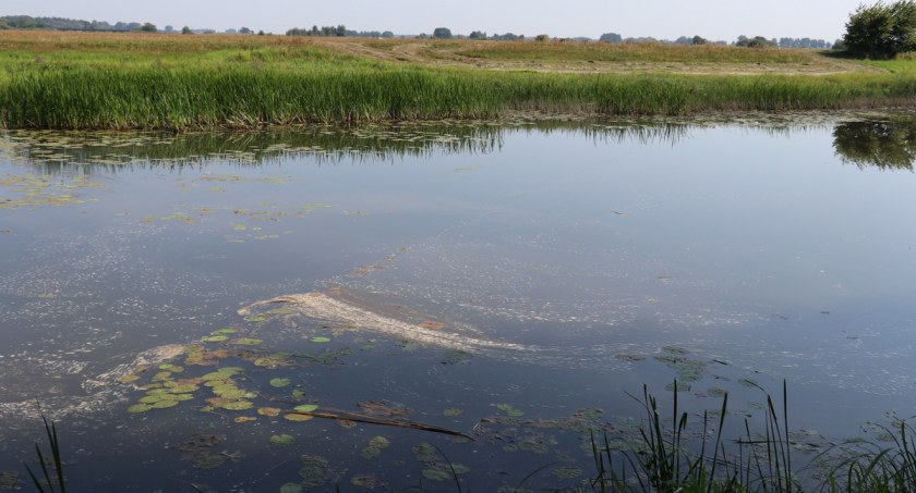 Już 9 ofiar wody. W niedzielę w Podlaskiem utonął kolejny mężczyzna