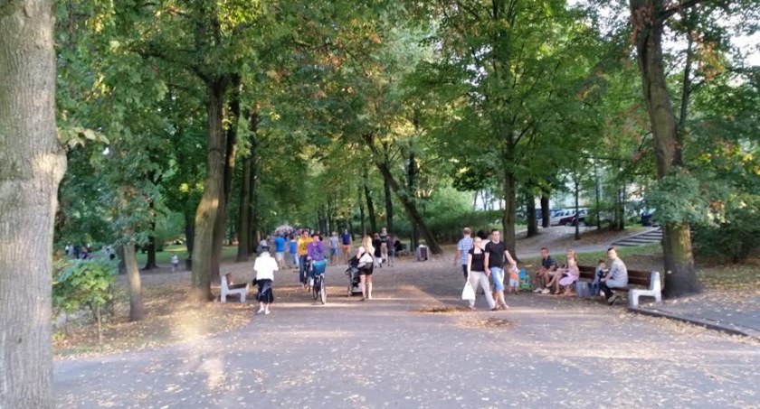 Im więcej drzew w mieście tym więcej korzyści
