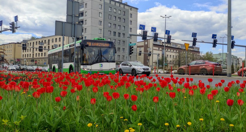 Autobusy miejskie dowiozą za darmo do lokali wyborczych