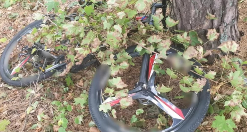 Augustowscy policjanci zatrzymali podejrzanego o kradzież roweru. Chciał go ukryć pod gałęziami