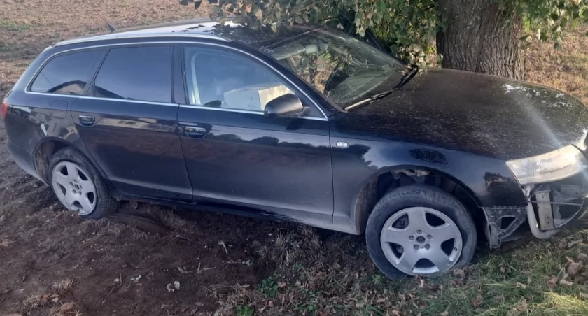 Strażnicy graniczni przejęli kontrabandę papierosową