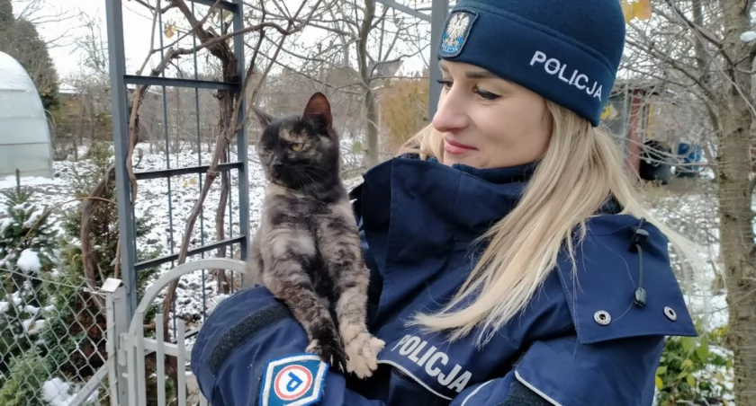 Nie tylko o ludziach należy pamiętać podczas mrozów. Zwierzęta też mogą potrzebować pomocy