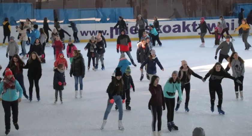 BOSiR podsumował miniony rok i zaprasza na wydarzenia w nowym roku
