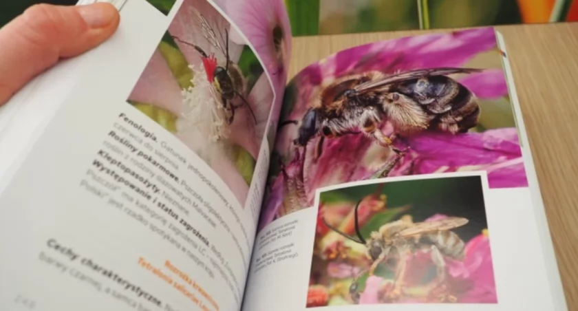 Bioróżnorodność tematem kolejnej publikacji urzędu miejskiego w Białymstoku