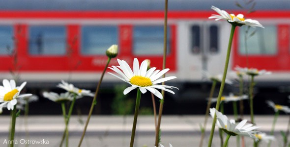 Czas na relaks. Majówka kolejowo–rowerowa nad Biebrzą!