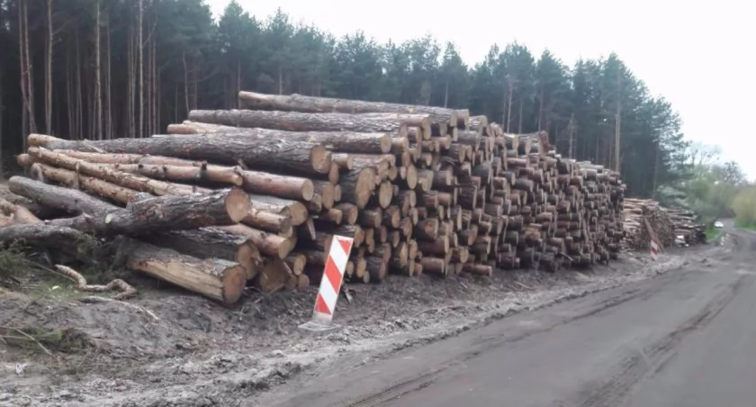 Decyzja minister Hennig-Kloski doprowadza do upadku firmy w powiecie białostockim